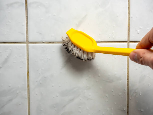 Best Insurance-Related Mold Remediation in Pigeon, MI