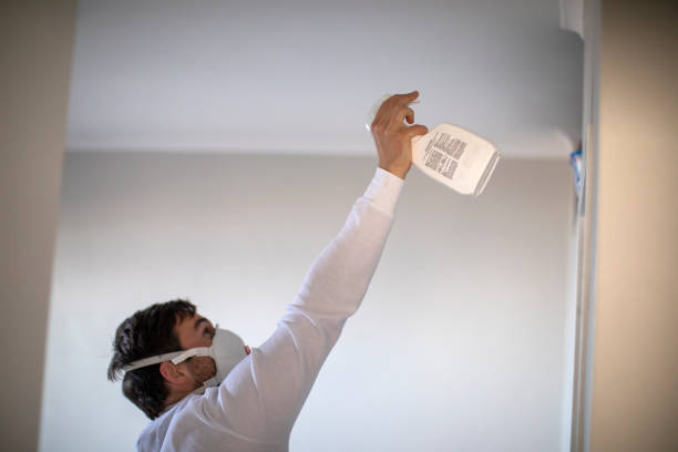 Best Black Mold Remediation in Pigeon, MI