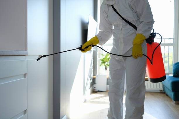 Best Commercial Mold Remediation in Pigeon, MI