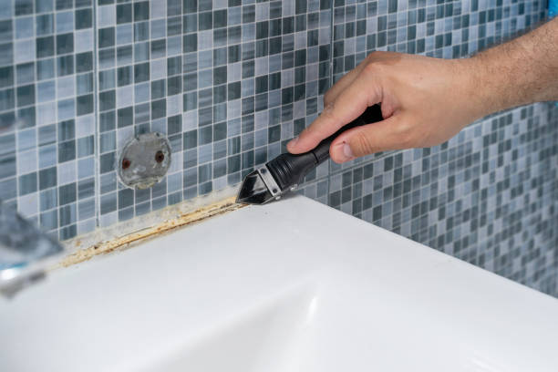 Professional Mold Remediation in Pigeon, MI